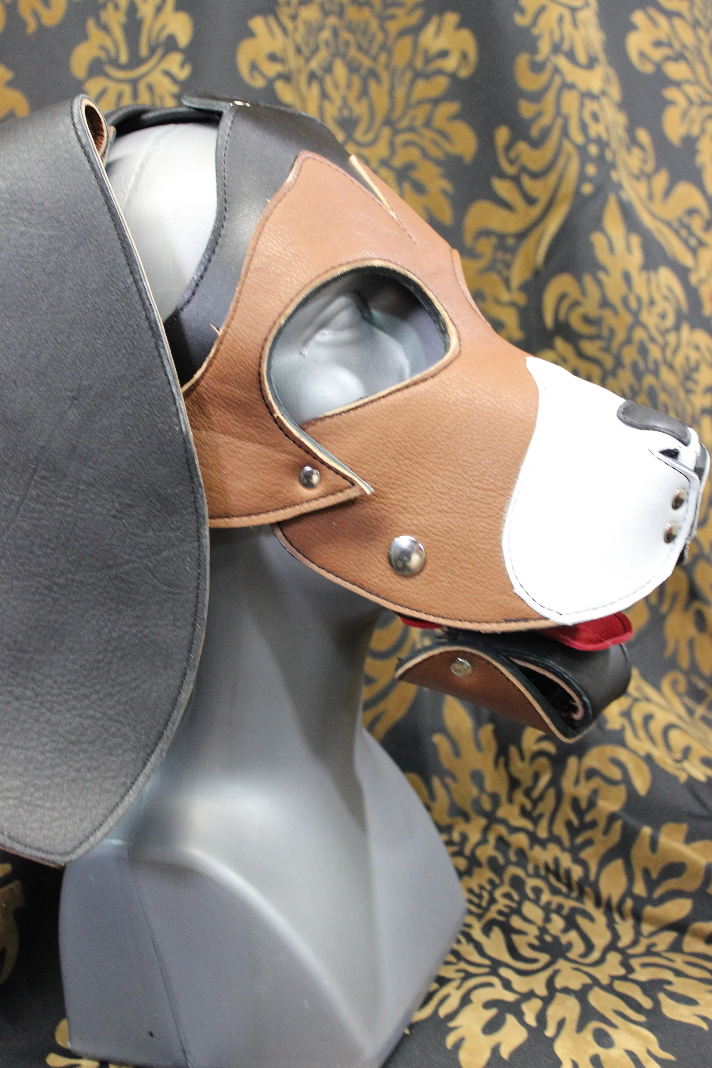 Basset Hound Style Pup Hood in Black, Tan, and White - Image 5