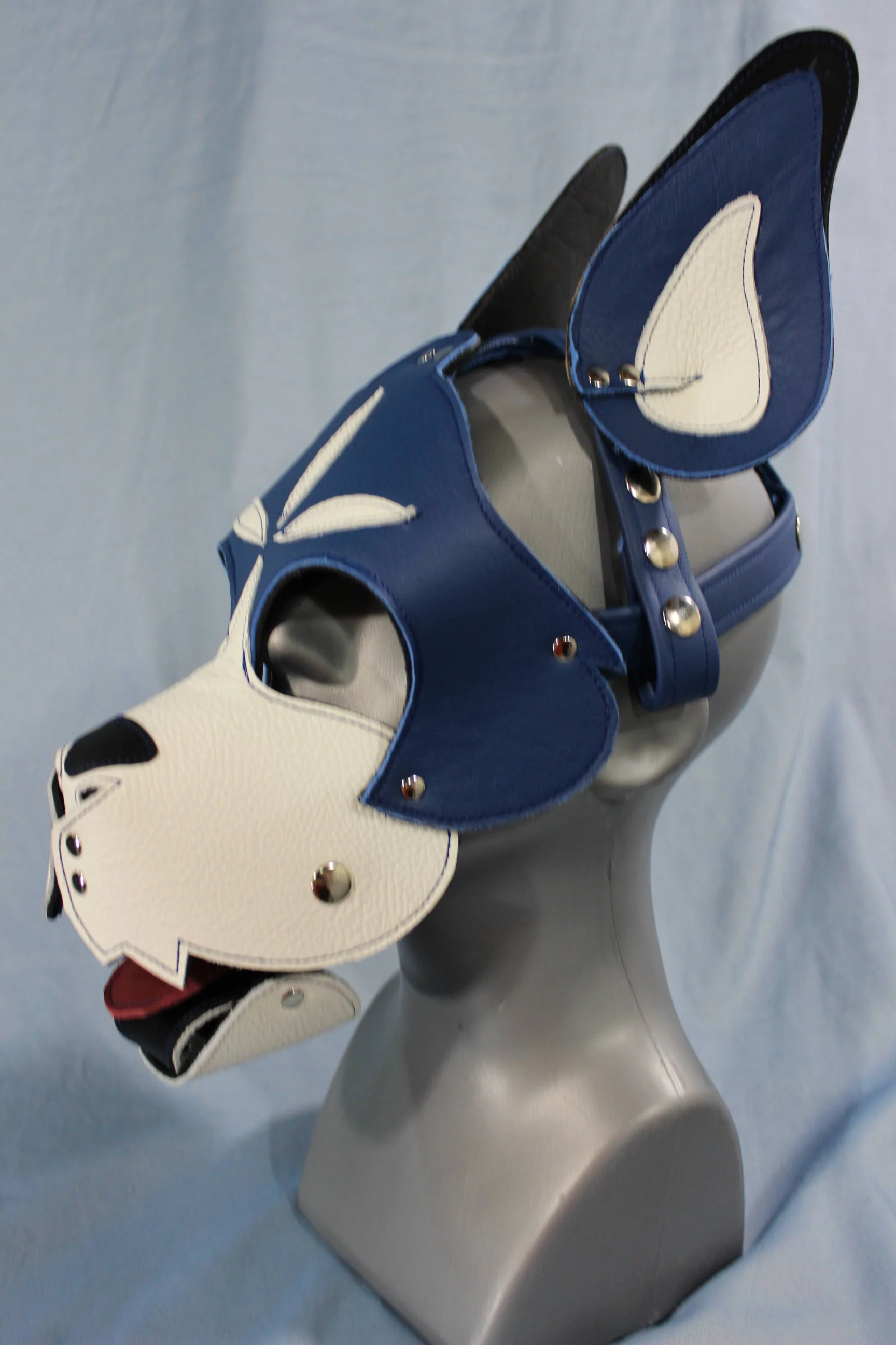Blue and White Boxer Hood with Studded Whiskers - Image 3
