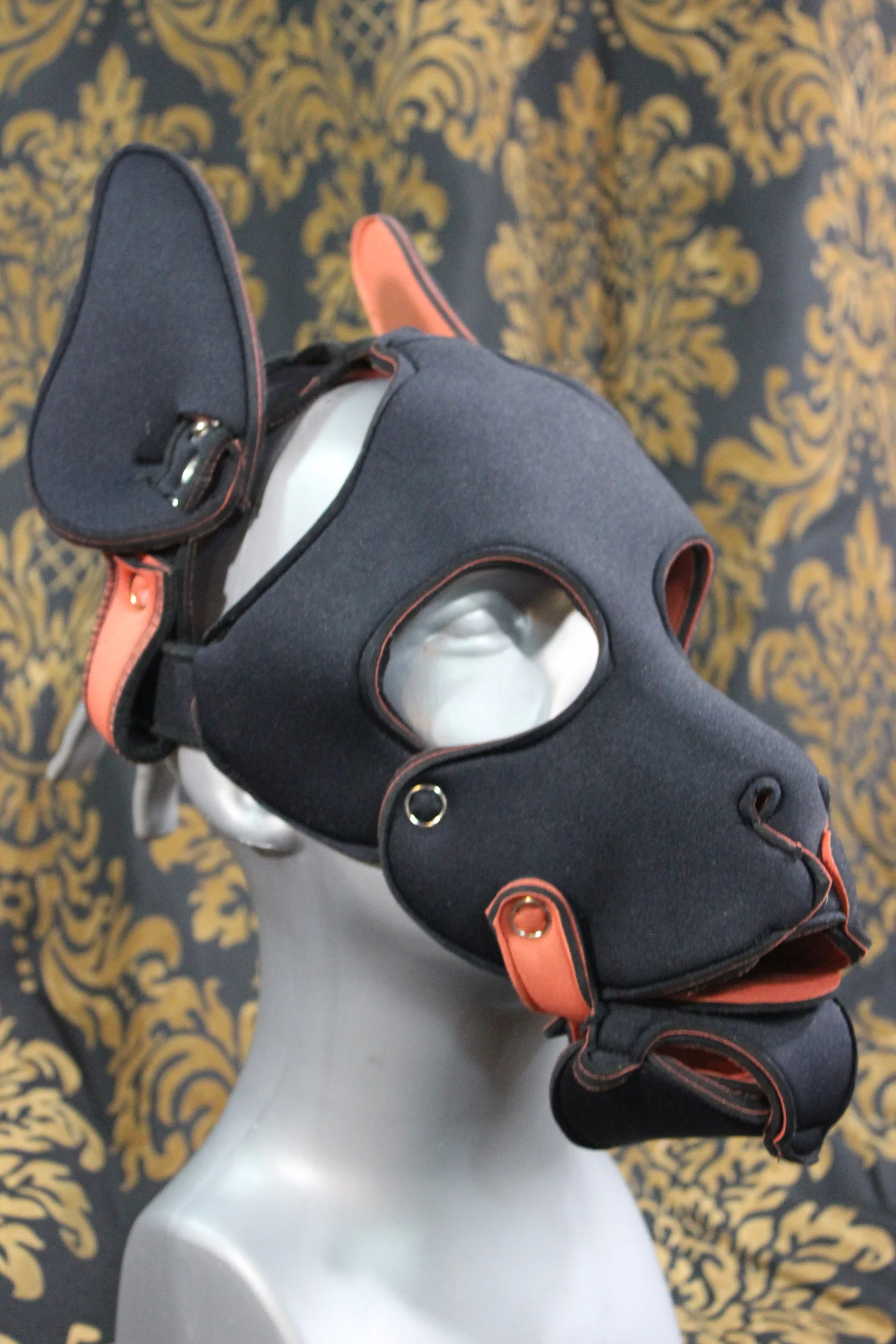 Pupskinz Two Toned Reversible Neoprene Husky Hood - Image 10