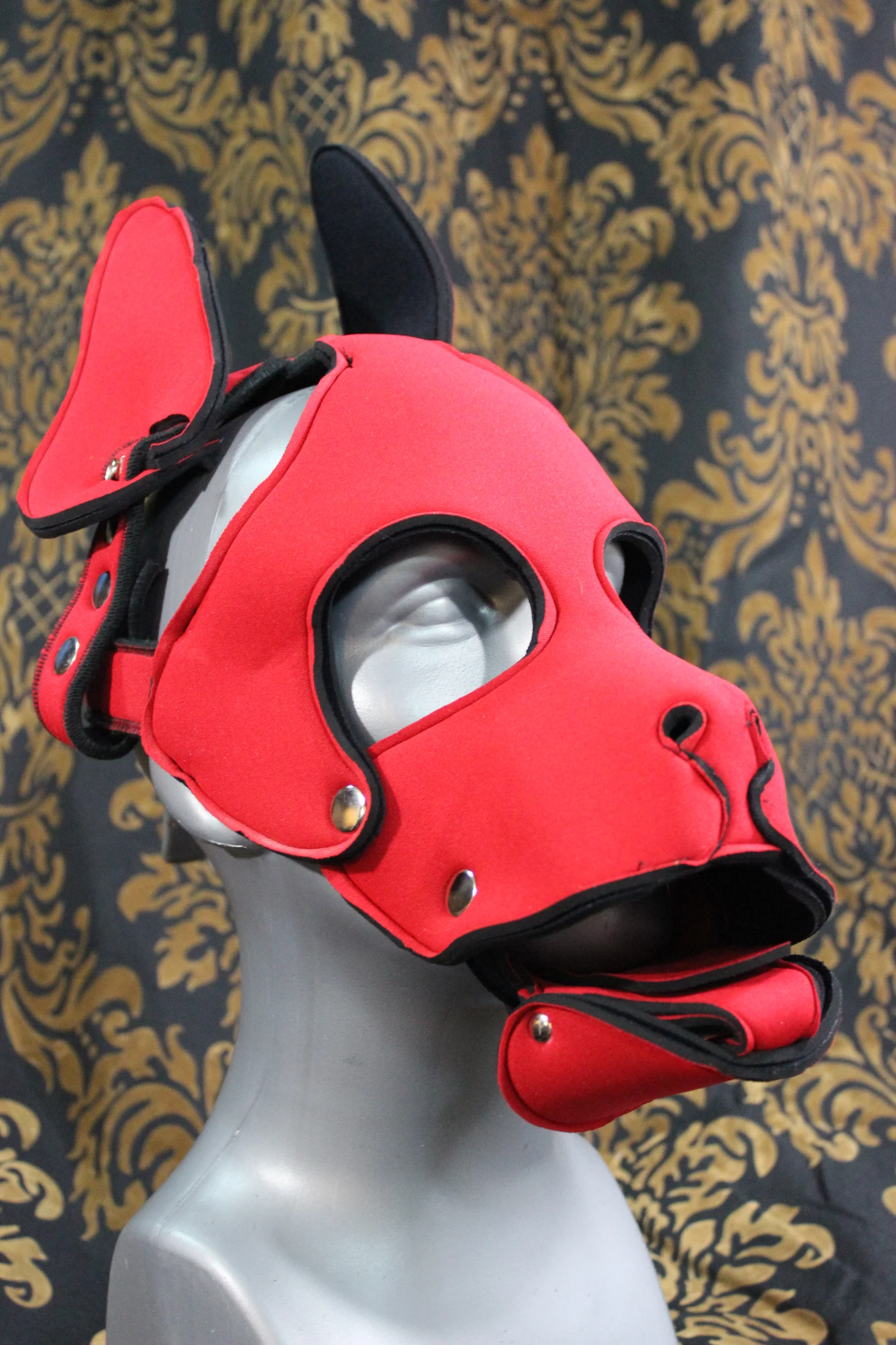Pupskinz Two Toned Reversible Neoprene Husky Hood - Image 4