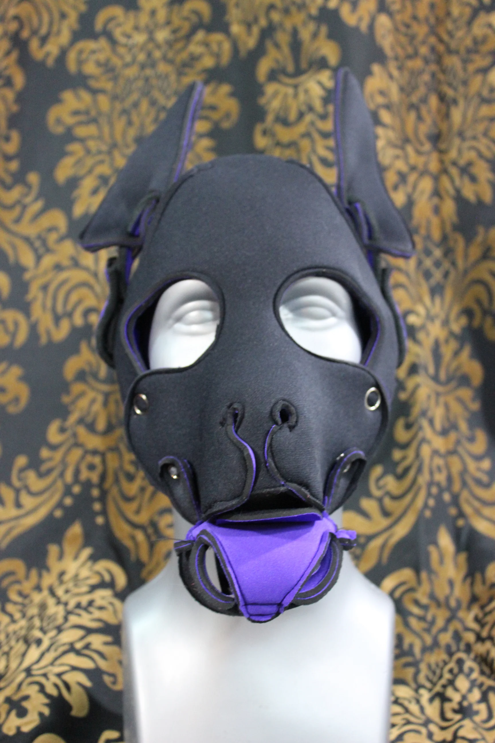 Pupskinz Two Toned Reversible Neoprene Husky Hood - Image 6